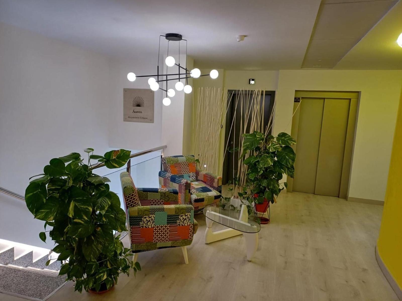 Aureo Alojamiento Urbano Abaran Bagian luar foto
